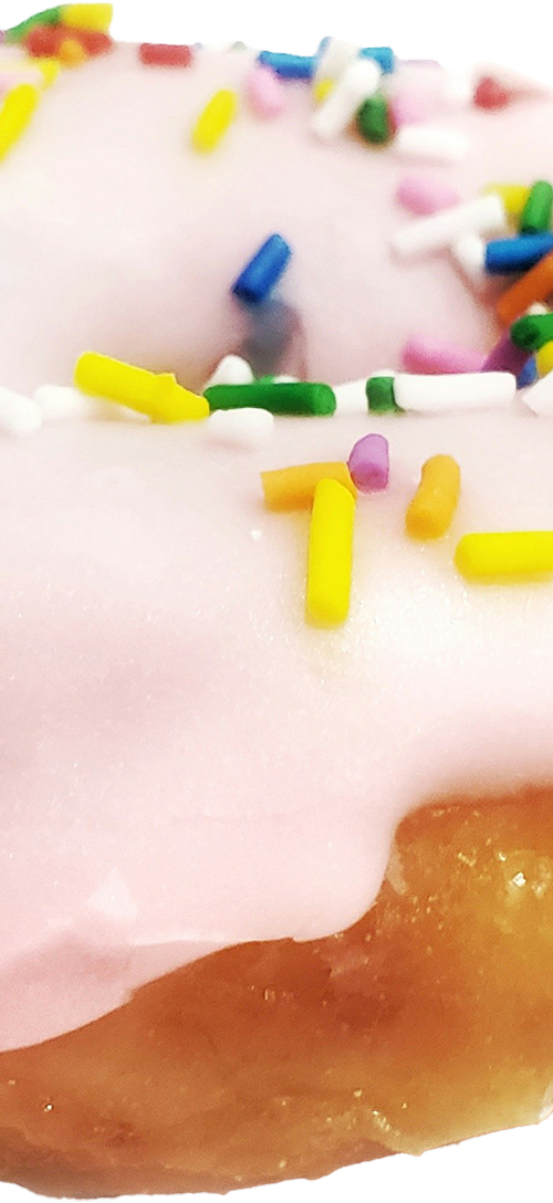 donut1